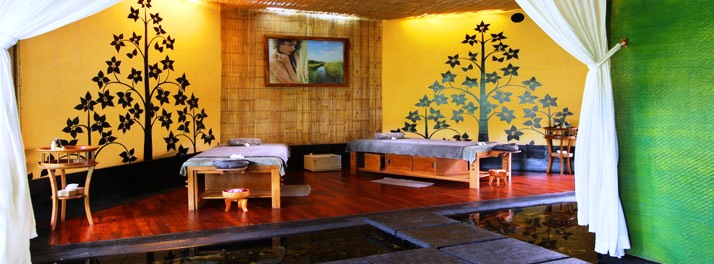 1075/Kupu Kupu Barong Villas & Spa by LOCCITANE - Ubud 19.jpg